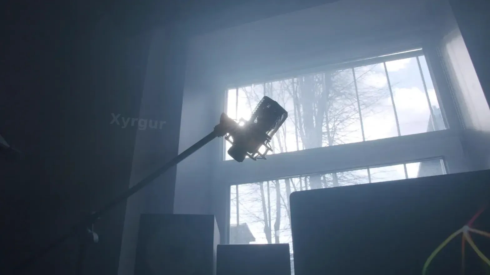Xyrgur